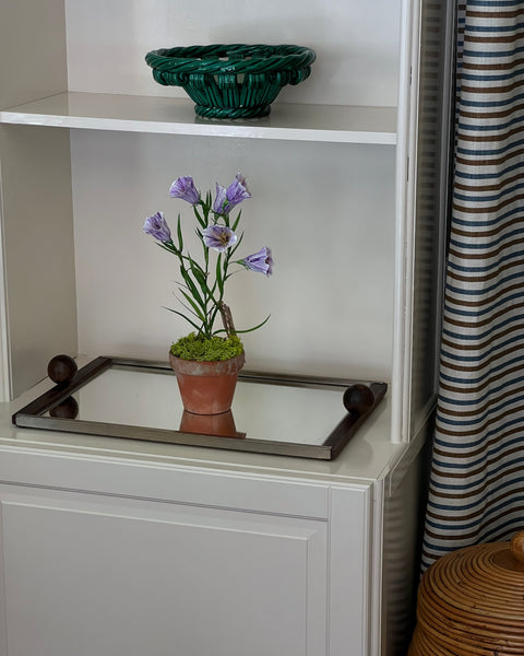 Paper flower ”Purple Bellflower”