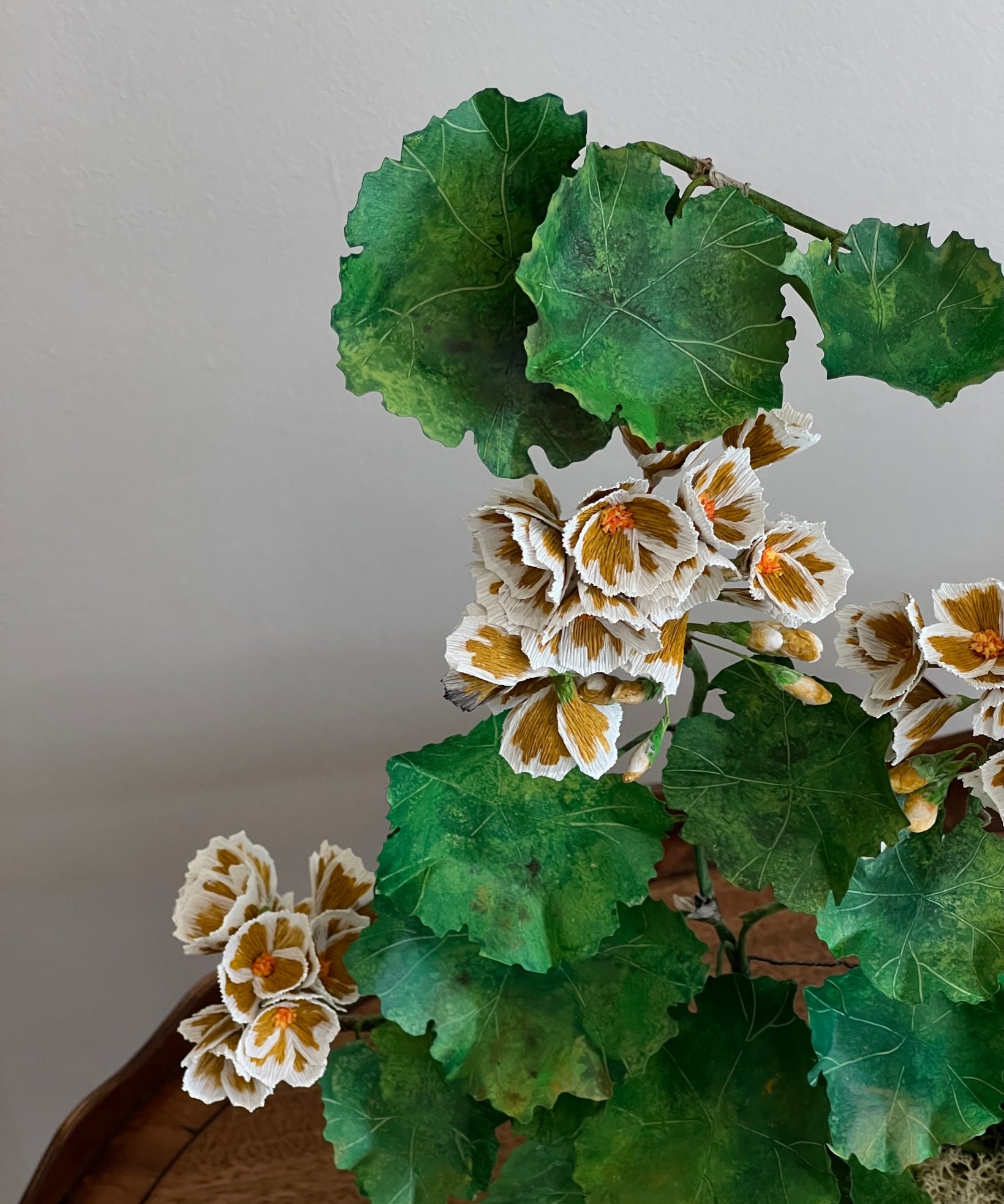 Paper flower 'Ochre Pelargonium'
