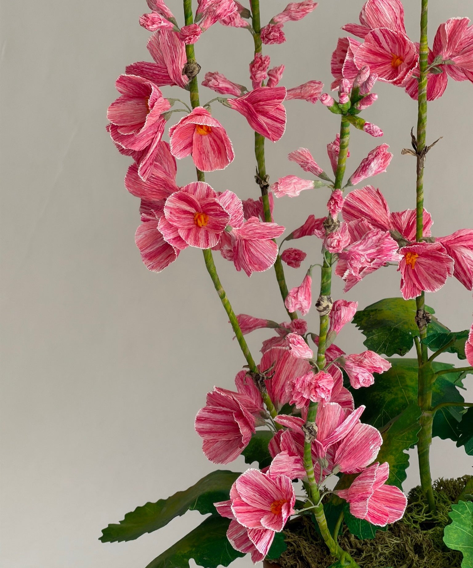 Paper flower 'Pink Primrose Japonica'