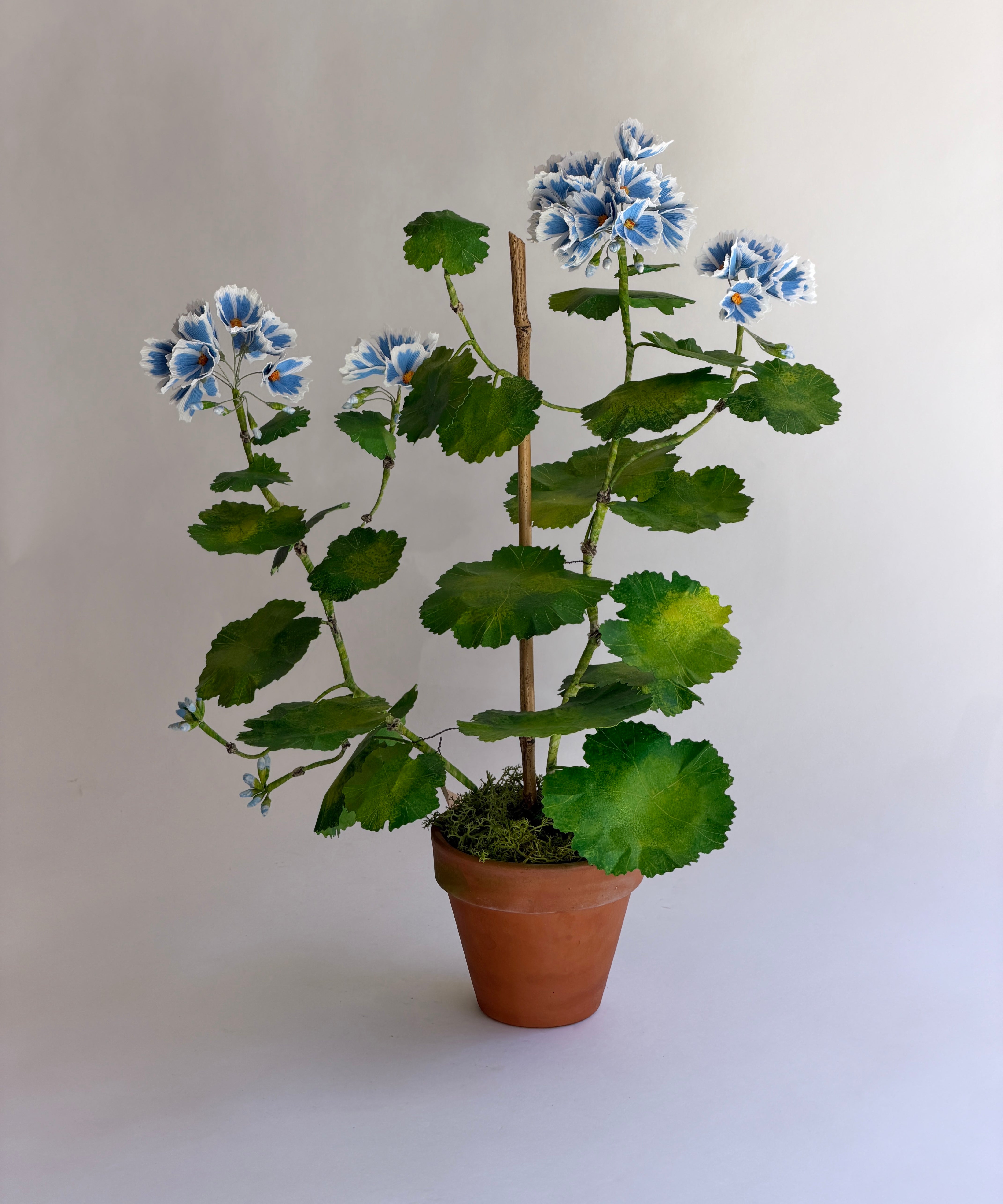 Paper flower 'Blue Sky Pelargonium'