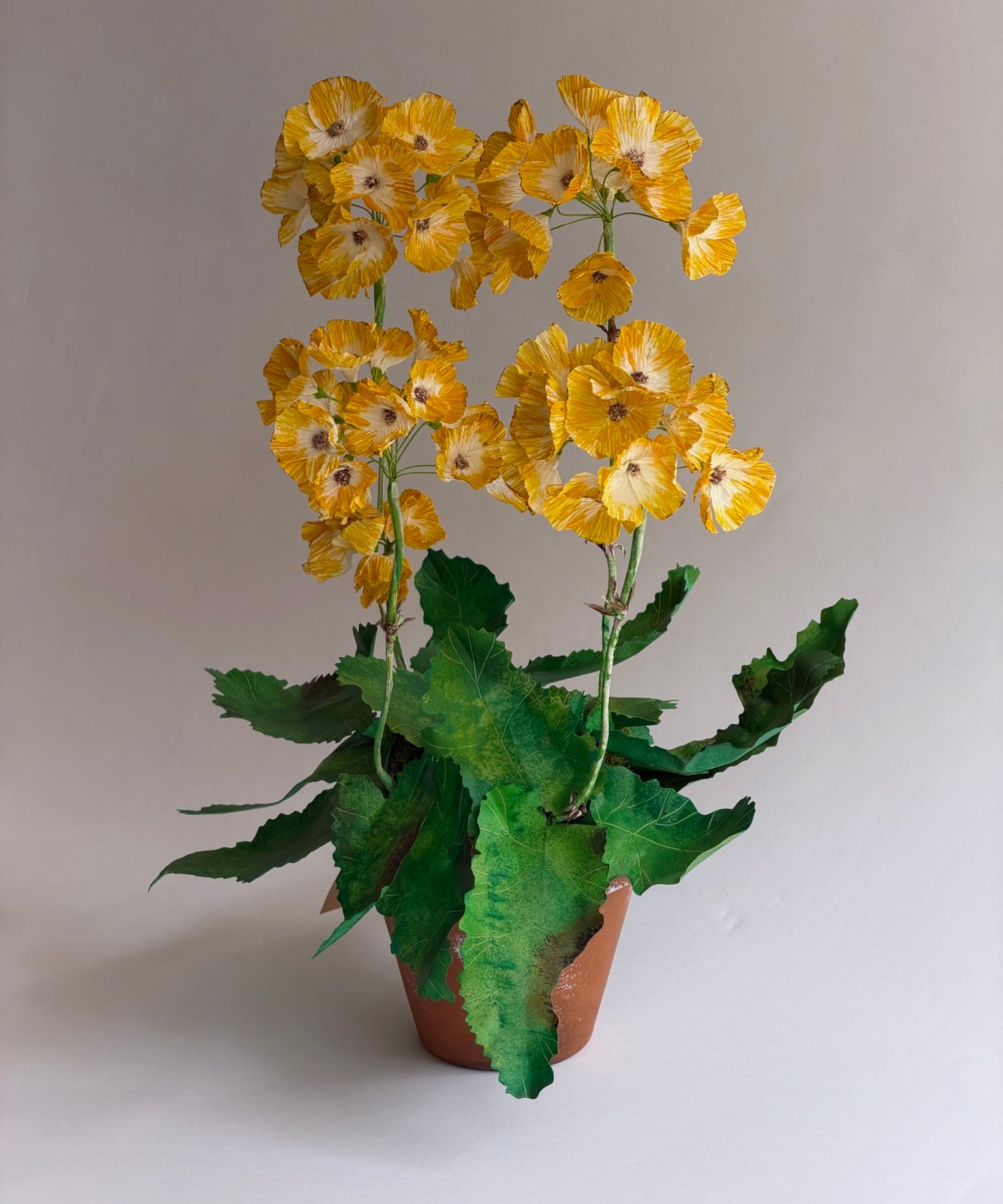 Paper flower 'Yellow Primrose'