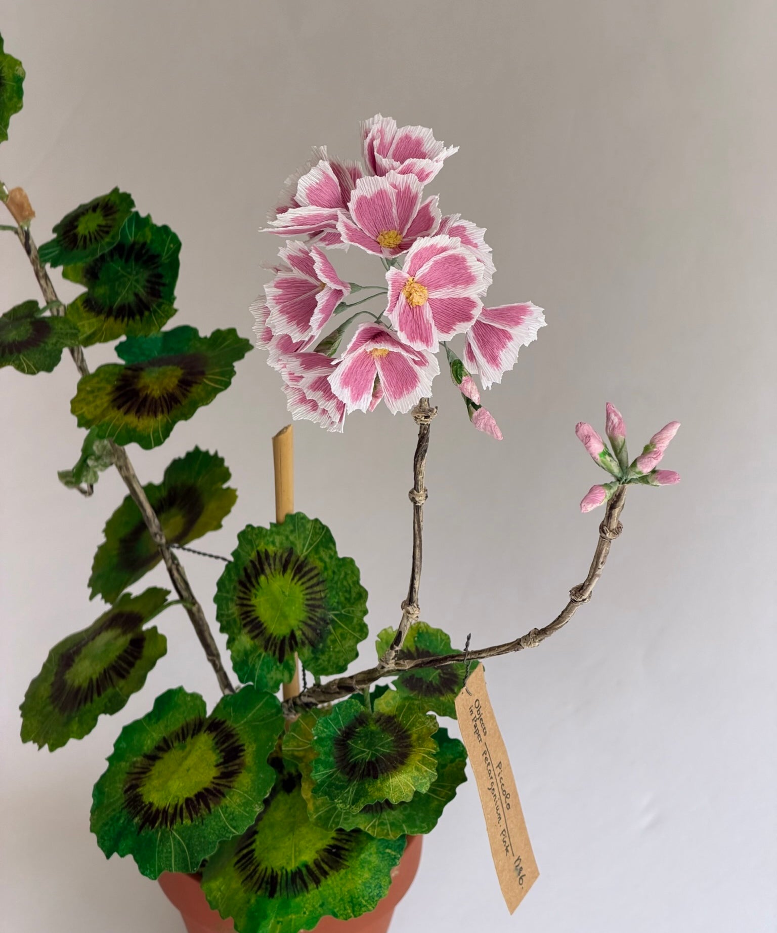 Paper flower 'Pink Pelargonium Piccolo'
