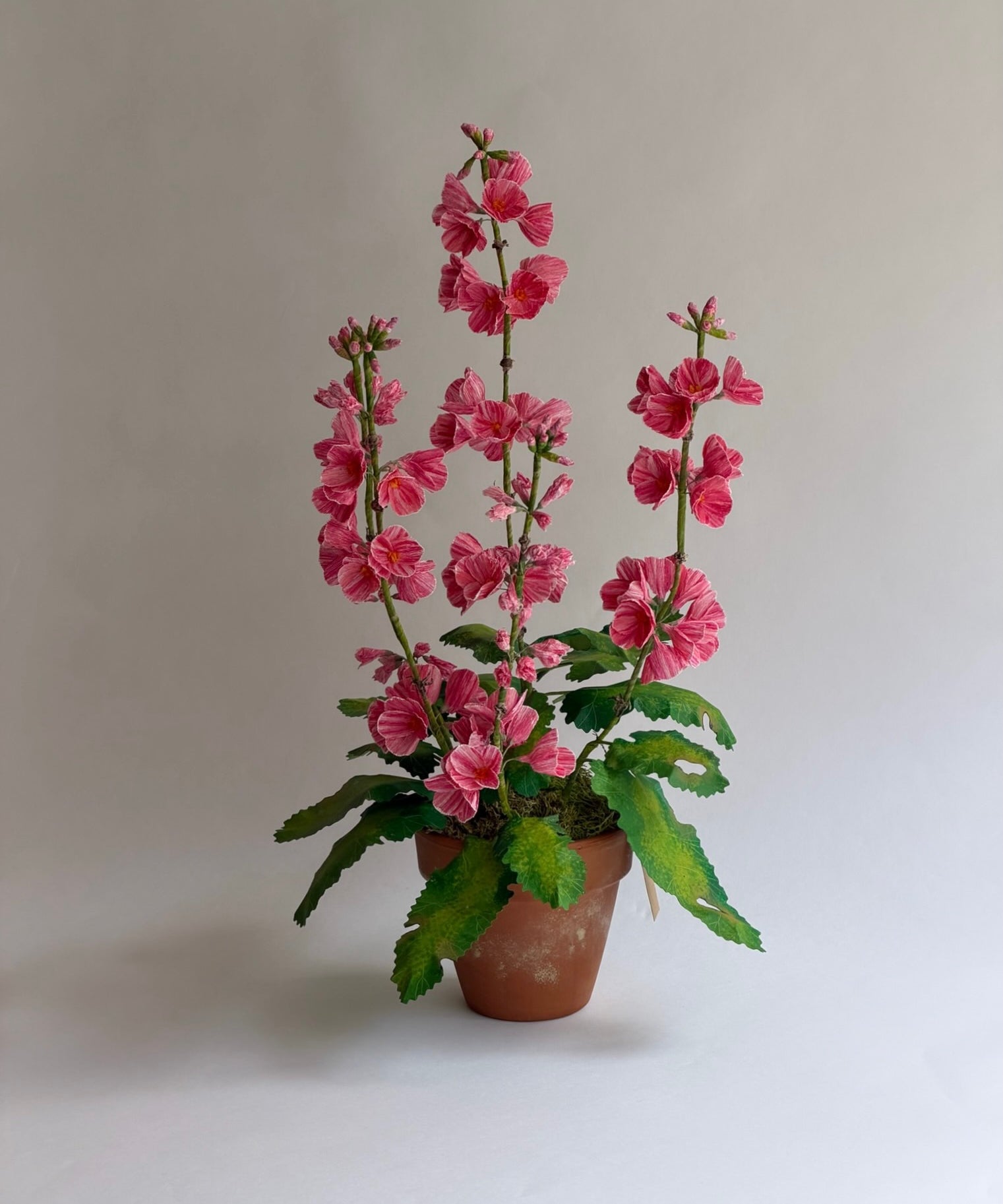 Paper flower 'Pink Primrose Japonica'