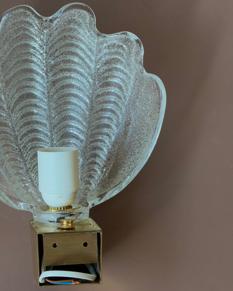Vintage clear Murano shell wall lamp (3 available)