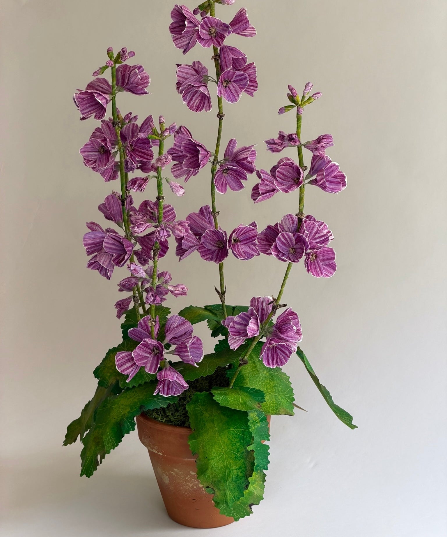 Paper flower 'Lilac Primrose Japonica'