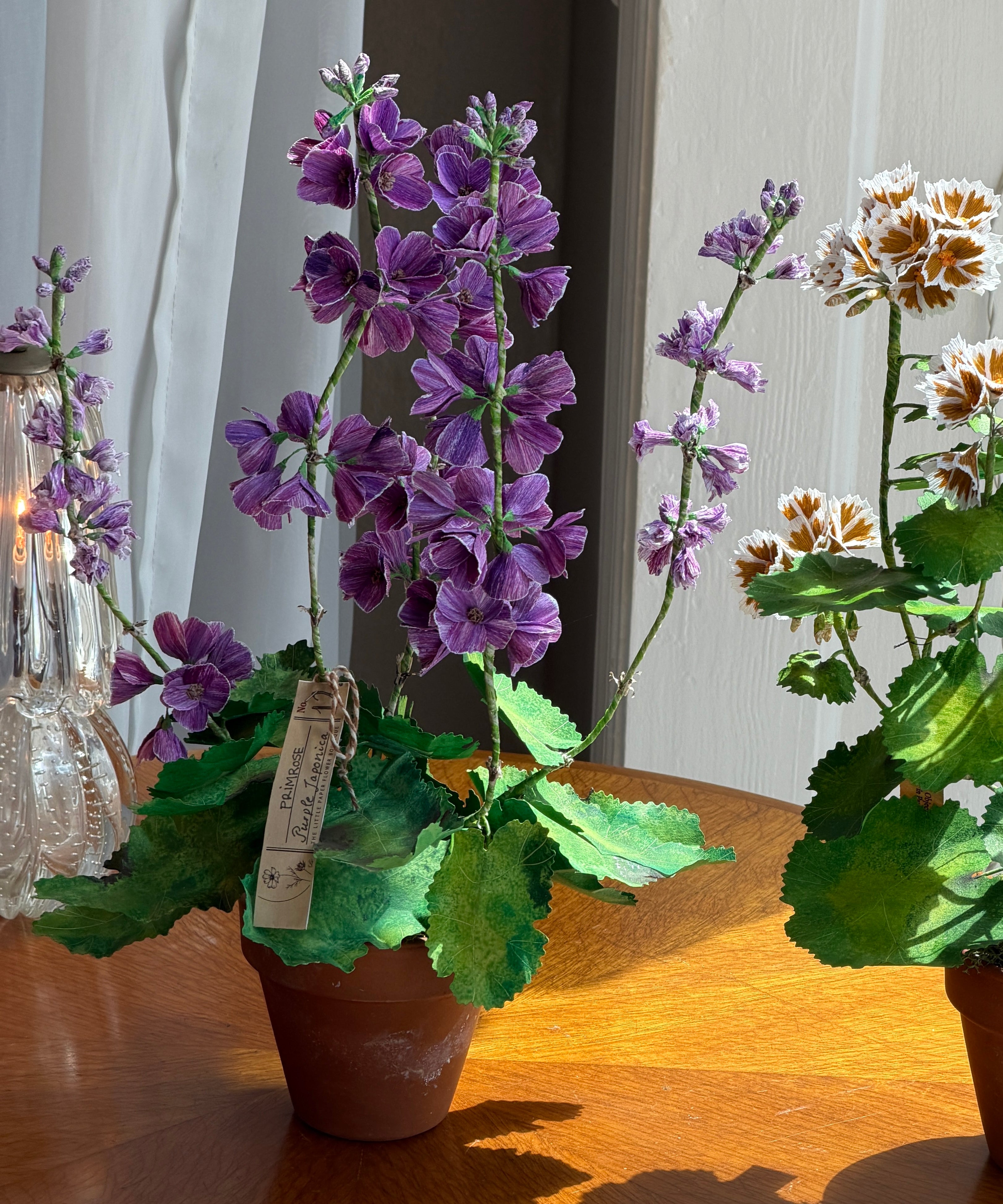 Paper flower 'Lilac Primrose Japonica'