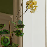 Paper flower 'Yellow Pelargonium Piccolo'