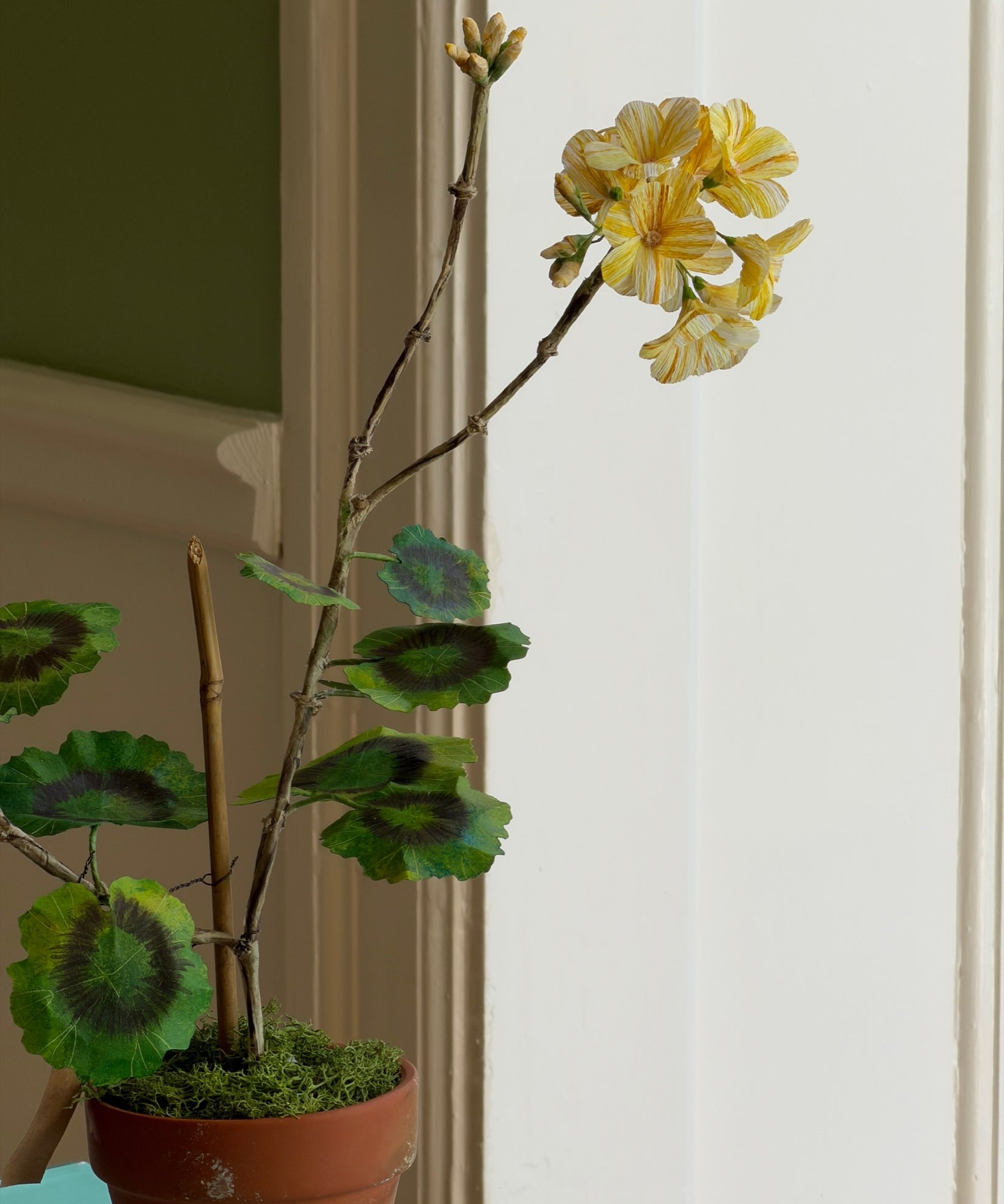 Paper flower 'Yellow Pelargonium Piccolo'