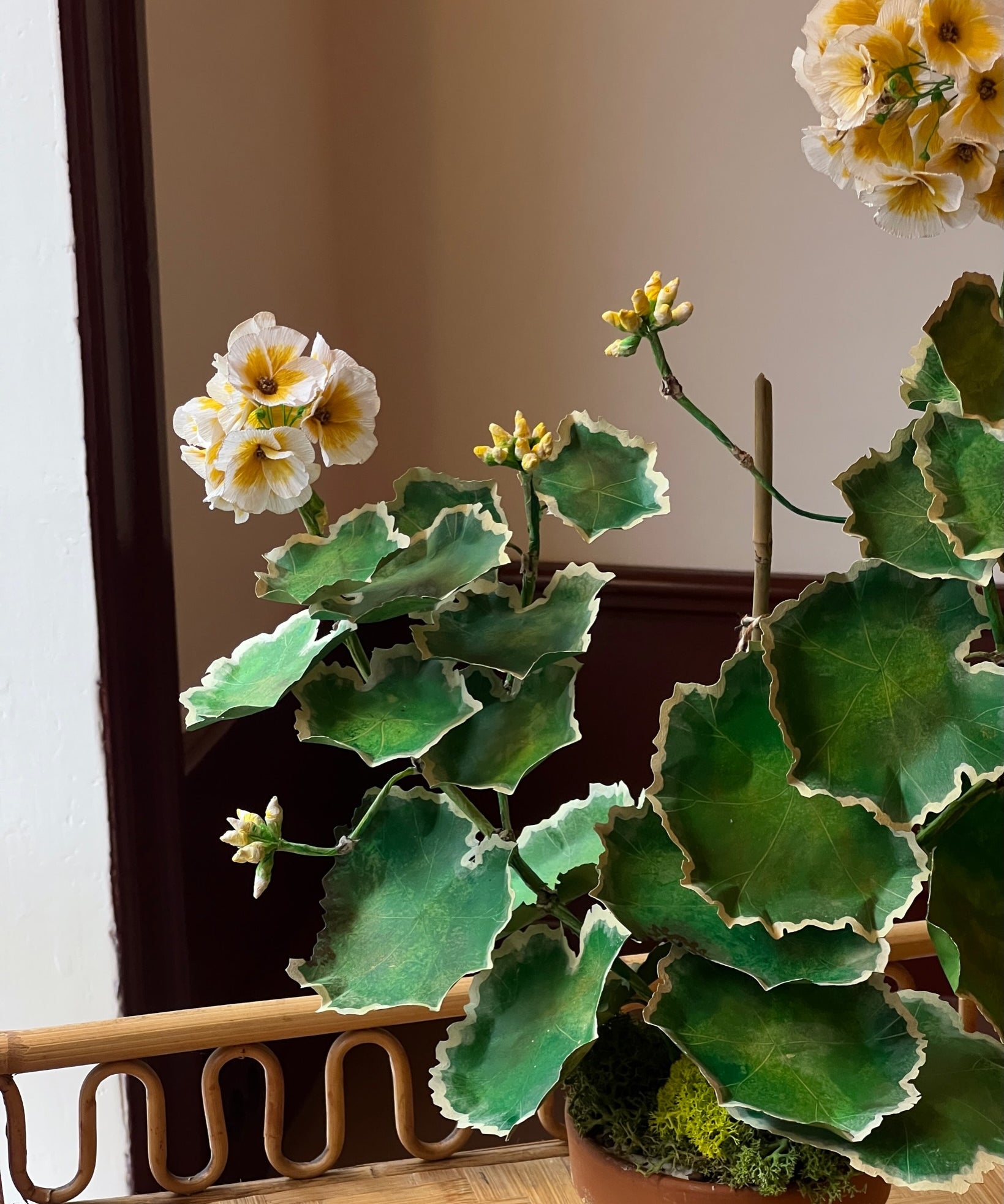Paper flower 'Yellow Pelargonium'