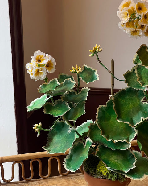 Paper flower ”Yellow pelargonium"