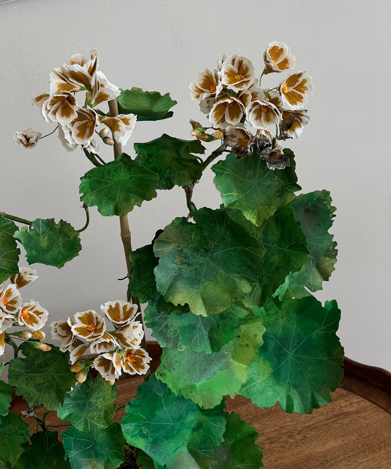Paper flower 'Ochre Pelargonium'