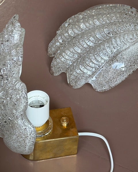 Vintage clear Murano shell wall lamp (3 available)