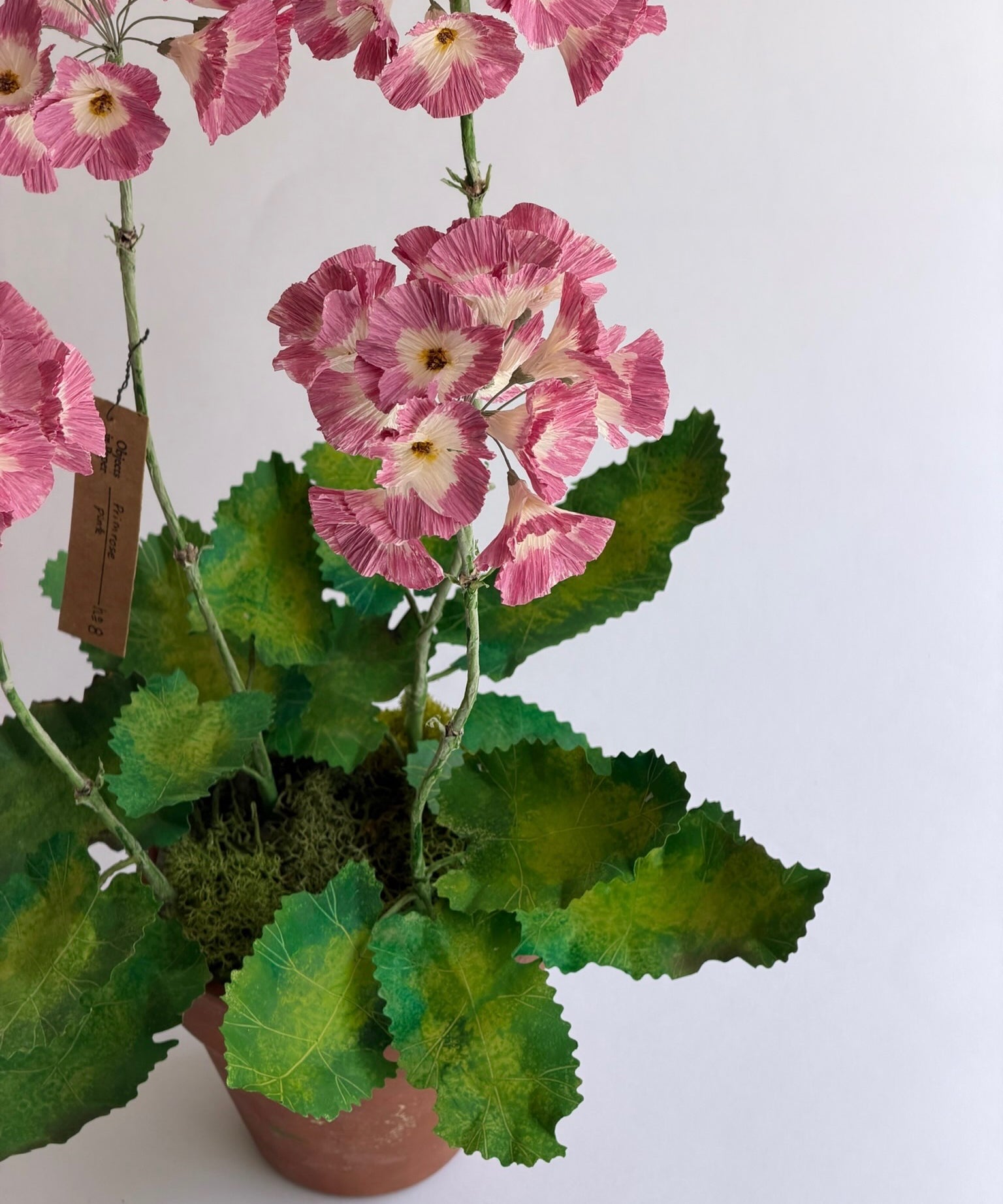 Paper flower 'Pink Primrose'