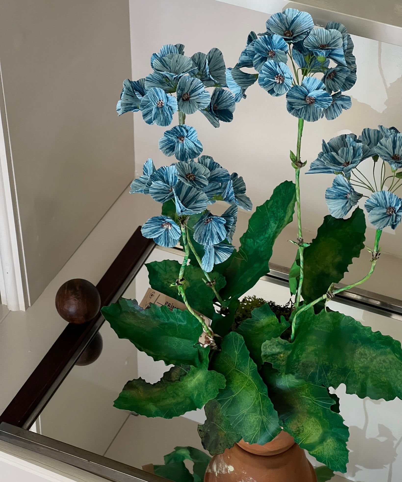 Paper flower 'Blue sky Primrose'