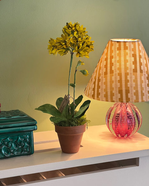 Paper flower ”Yellow / Black Primerose Aurora”