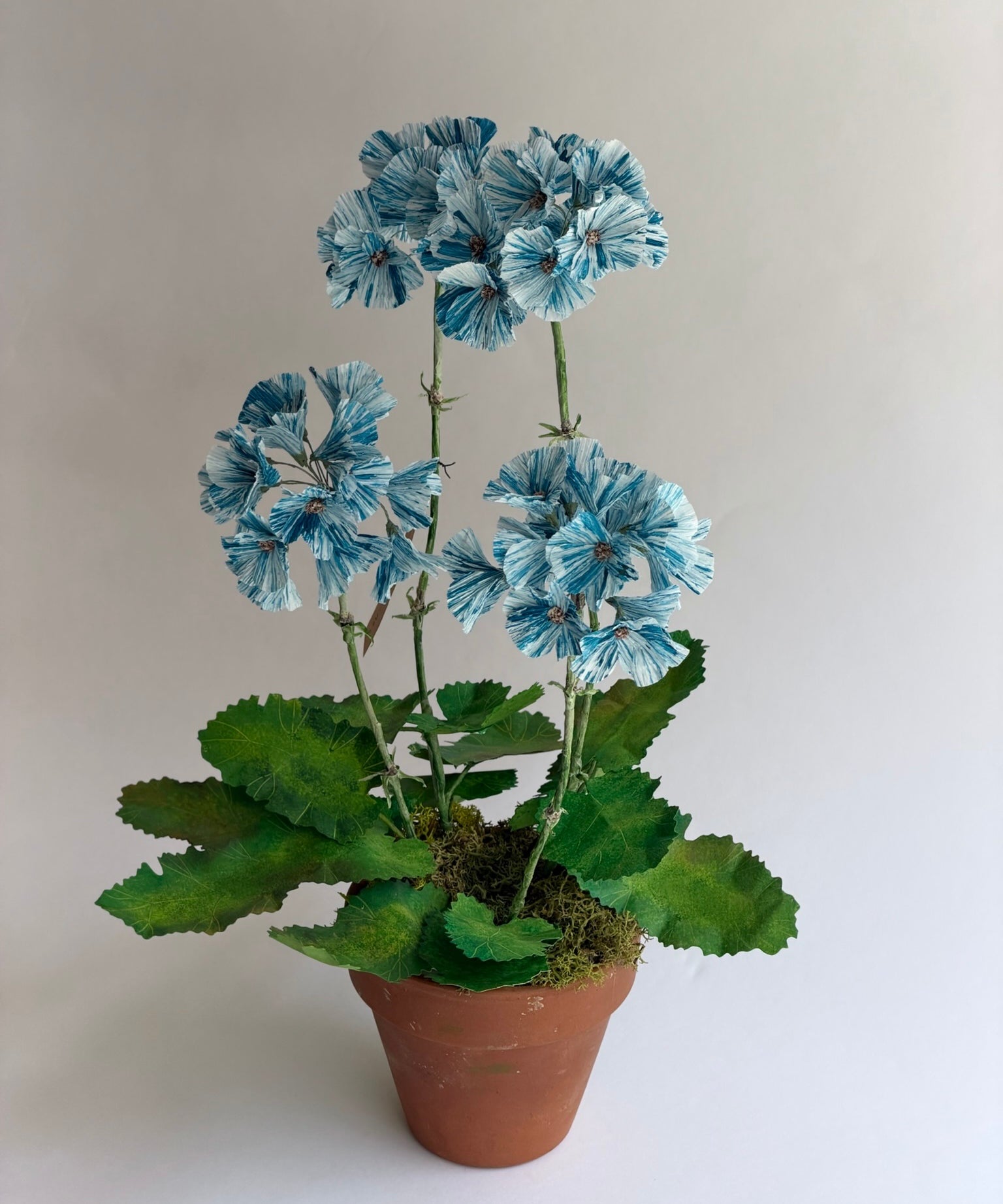 Paper flower 'Blue sky Primrose'