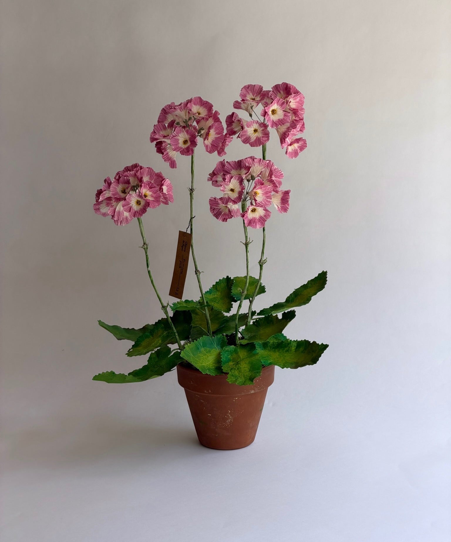 Paper flower 'Pink Primrose'