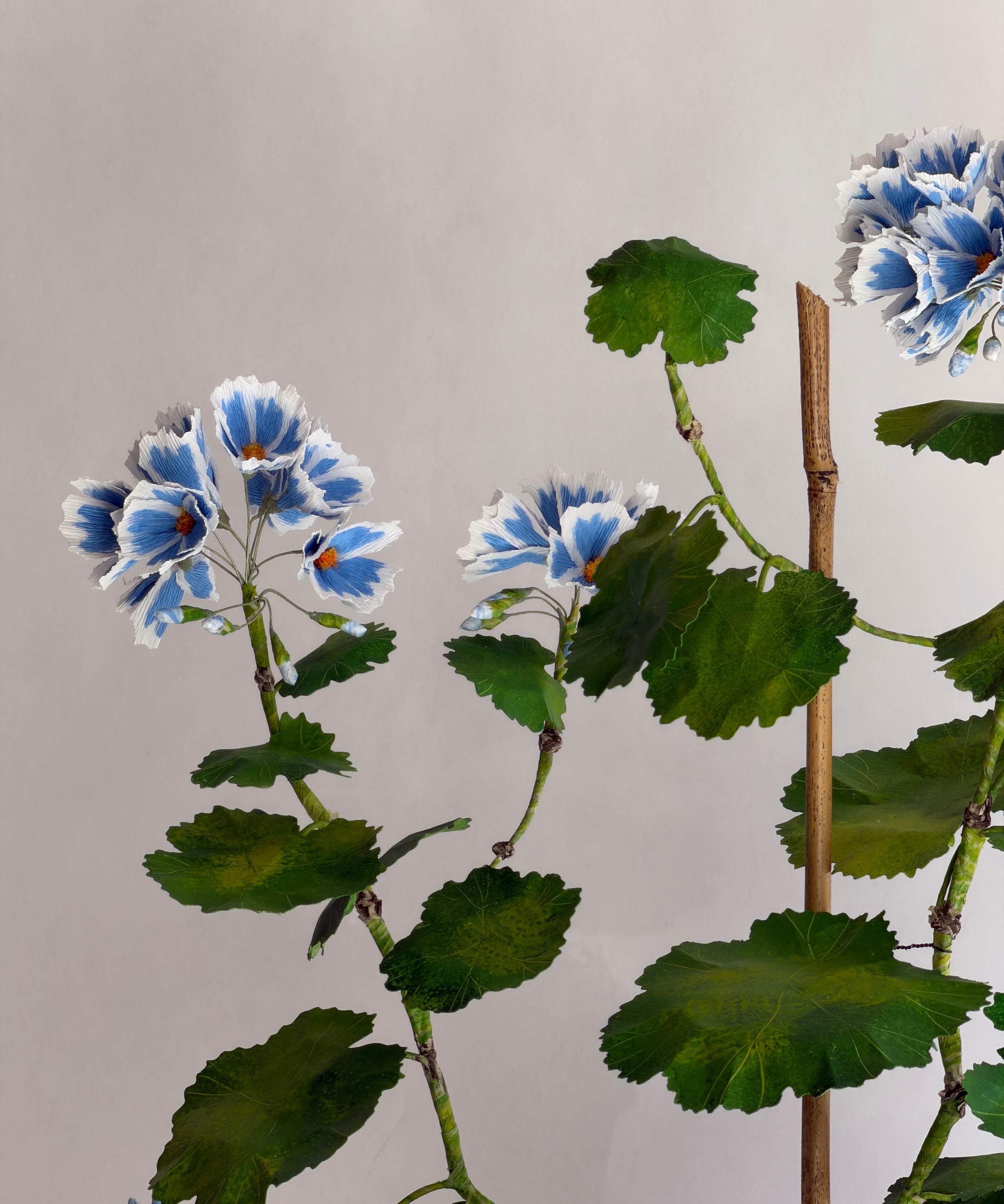 Paper flower 'Blue Sky Pelargonium'