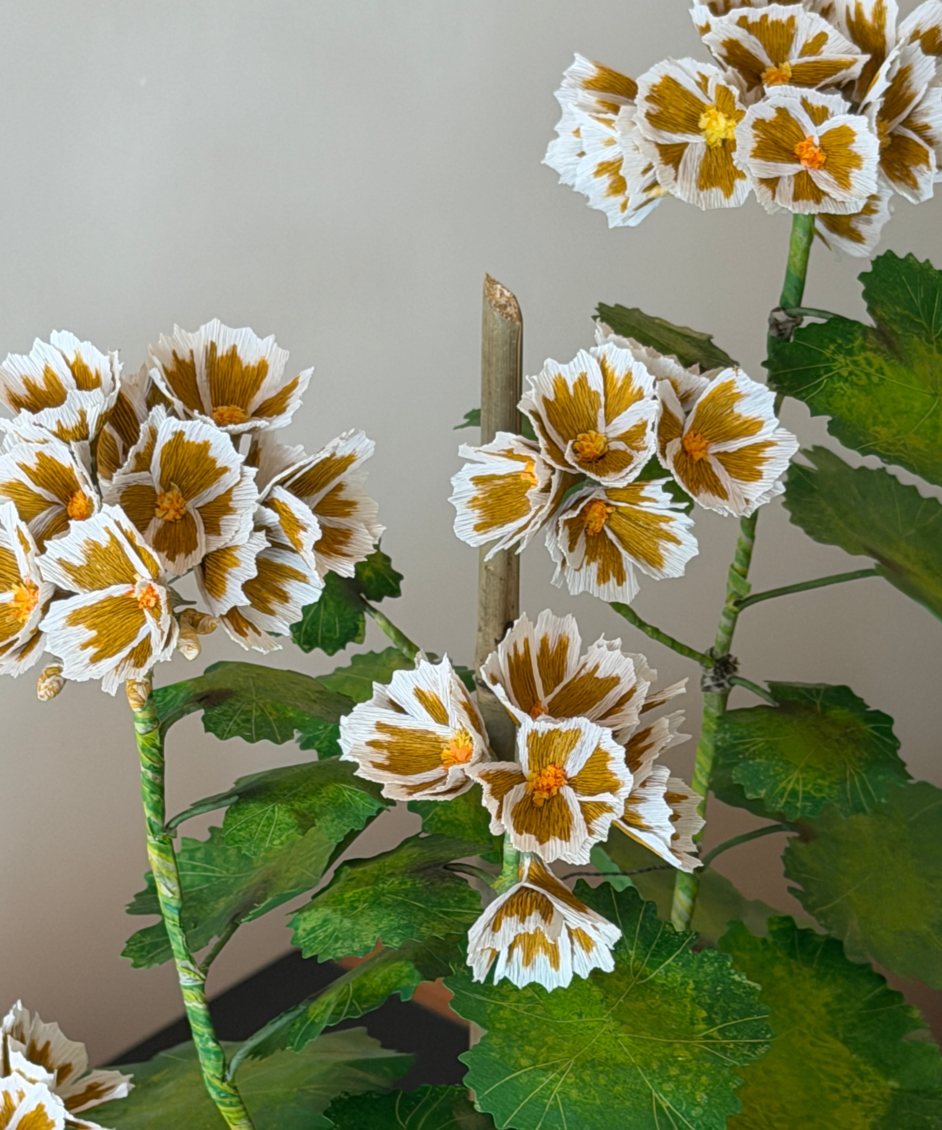 Paper flower 'Ochre Pelargonium'