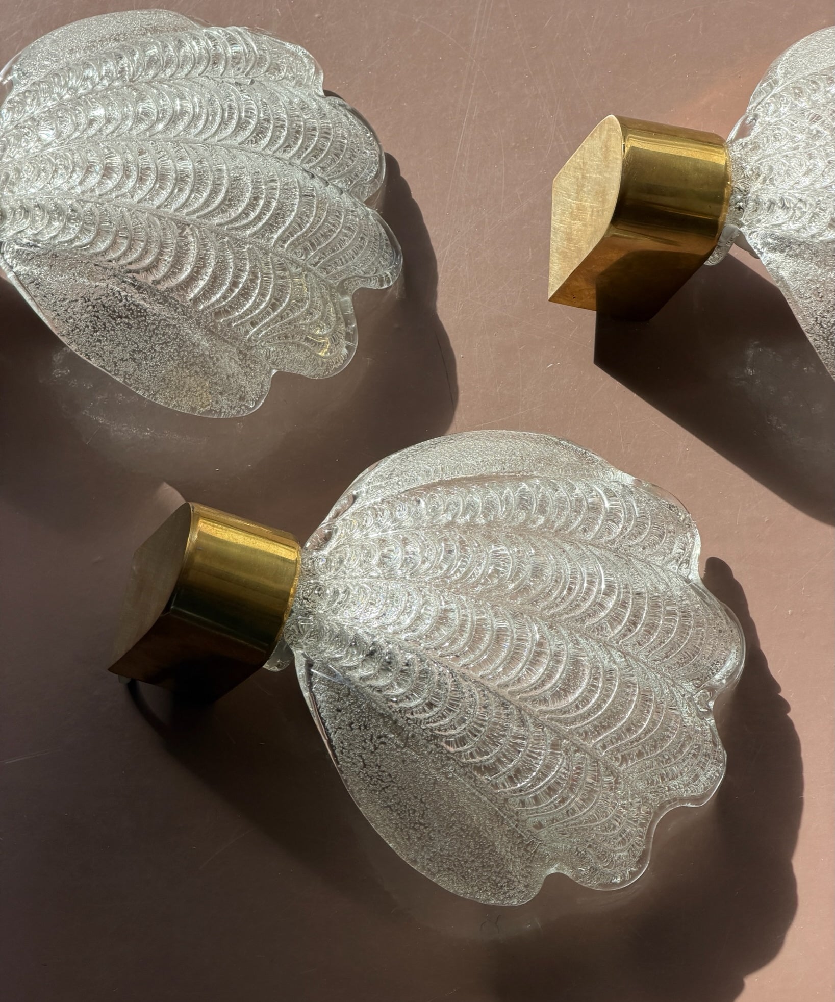 Vintage clear Murano shell wall lamp (3 available)