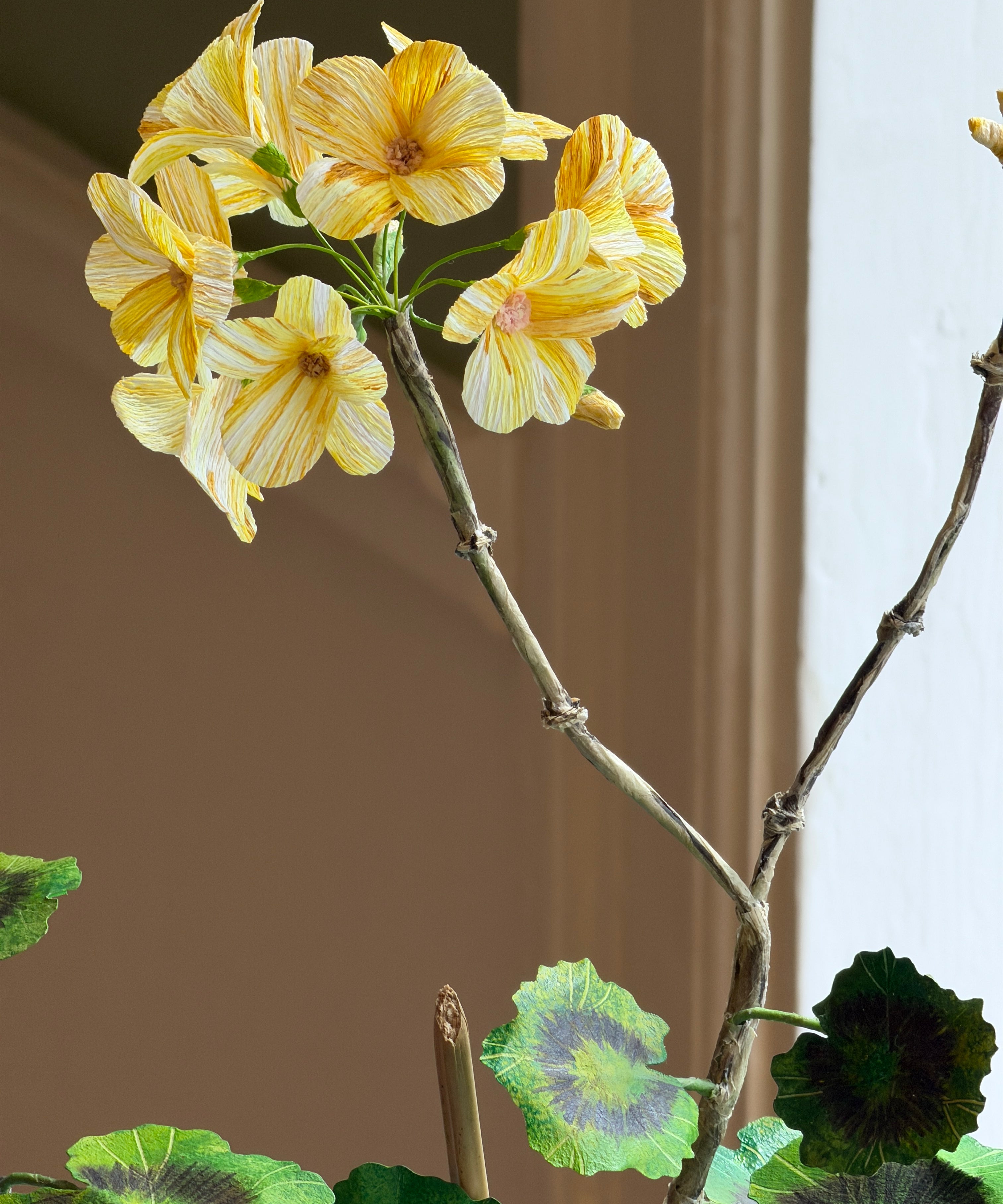 Paper flower 'Yellow Pelargonium Piccolo'