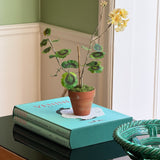 Paper flower 'Yellow Pelargonium Piccolo'