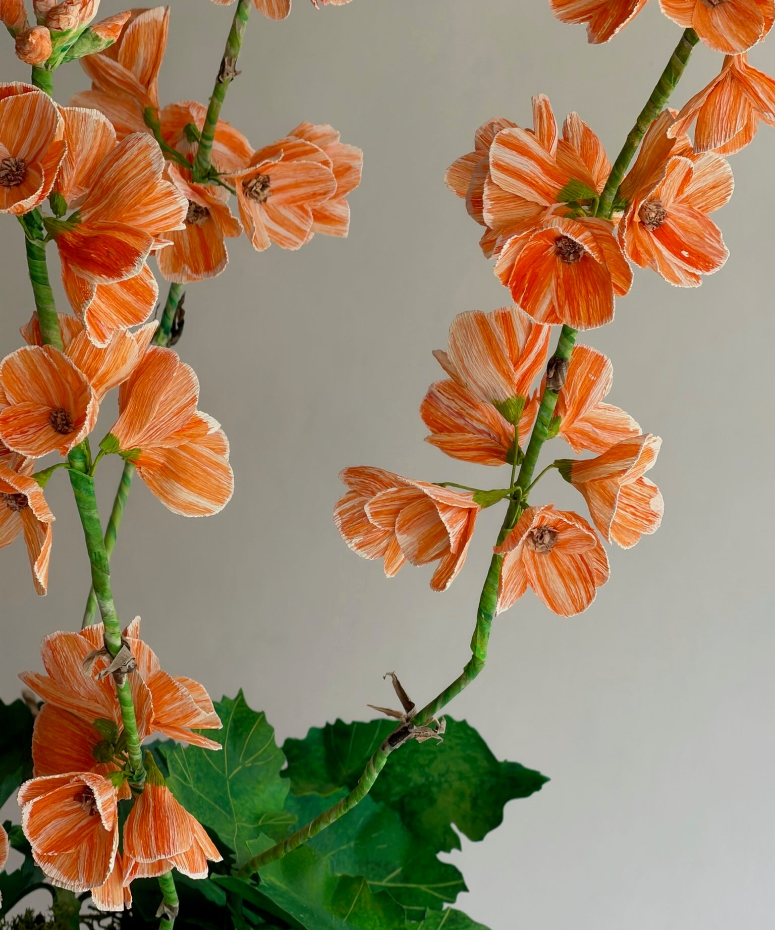 Paper flower 'Orange Primrose Japonica'