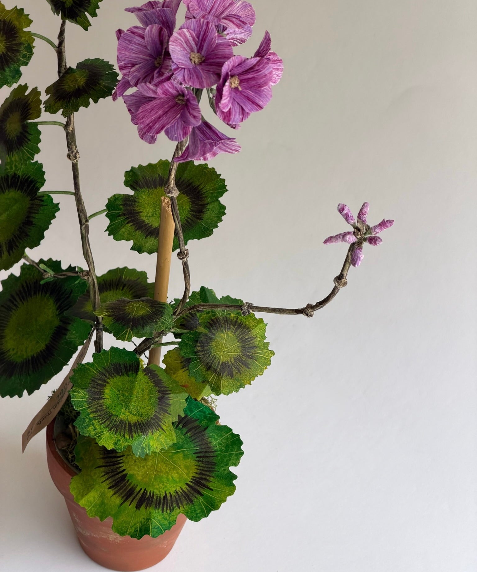Paper flower 'Lilac Pelargonium Piccolo'