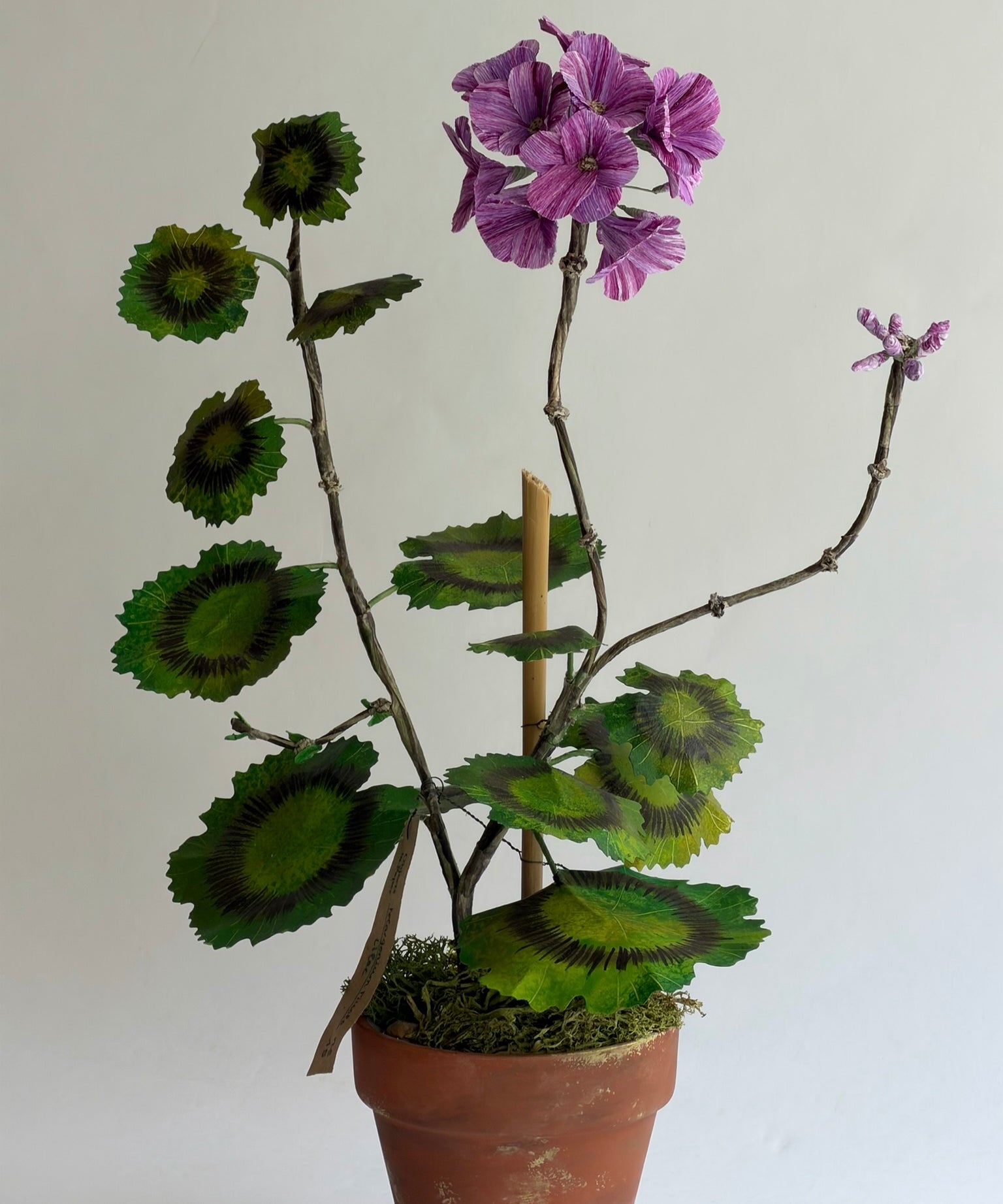 Paper flower 'Lilac Pelargonium Piccolo'