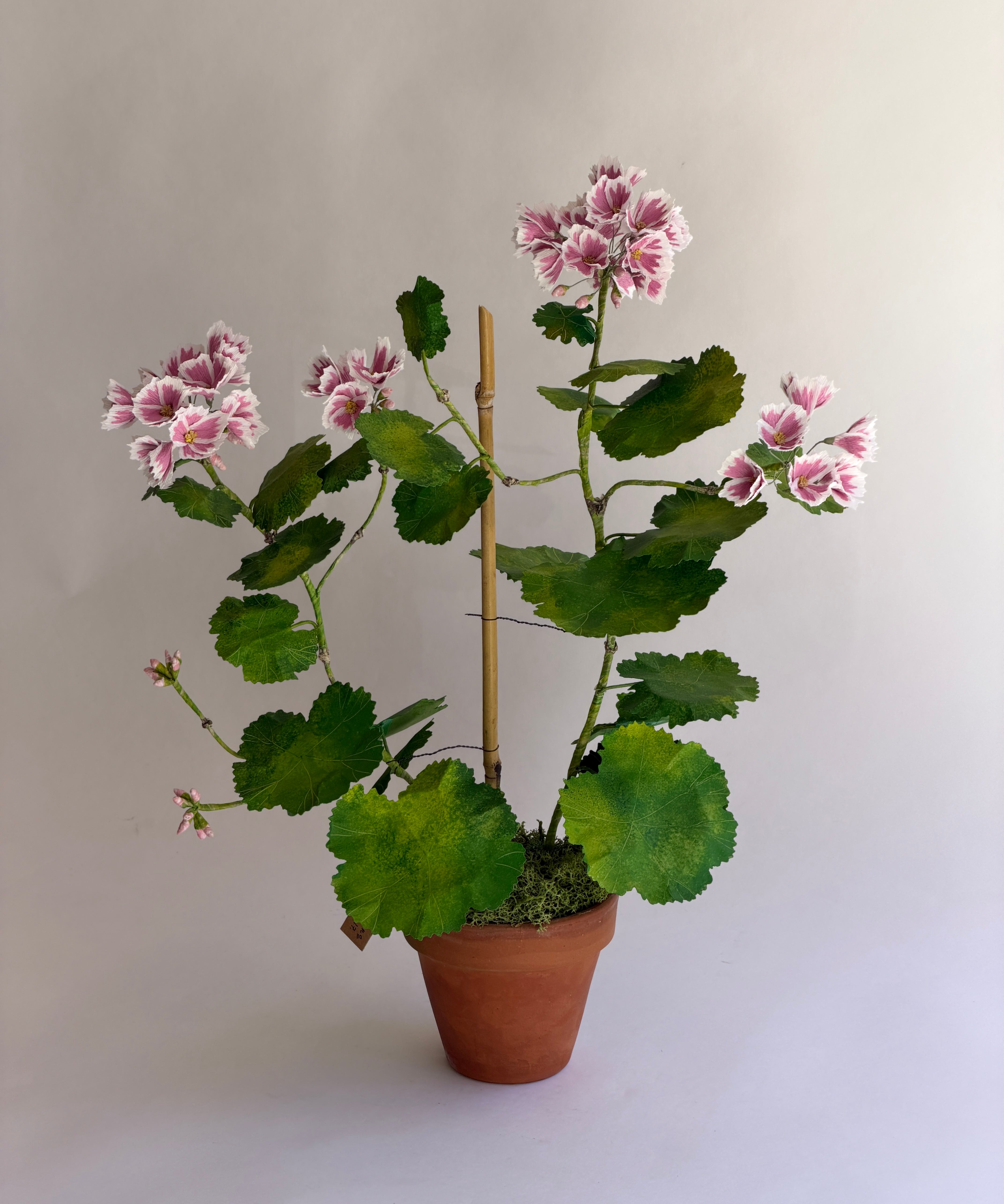 Paper flower 'Pink Pelargonium'