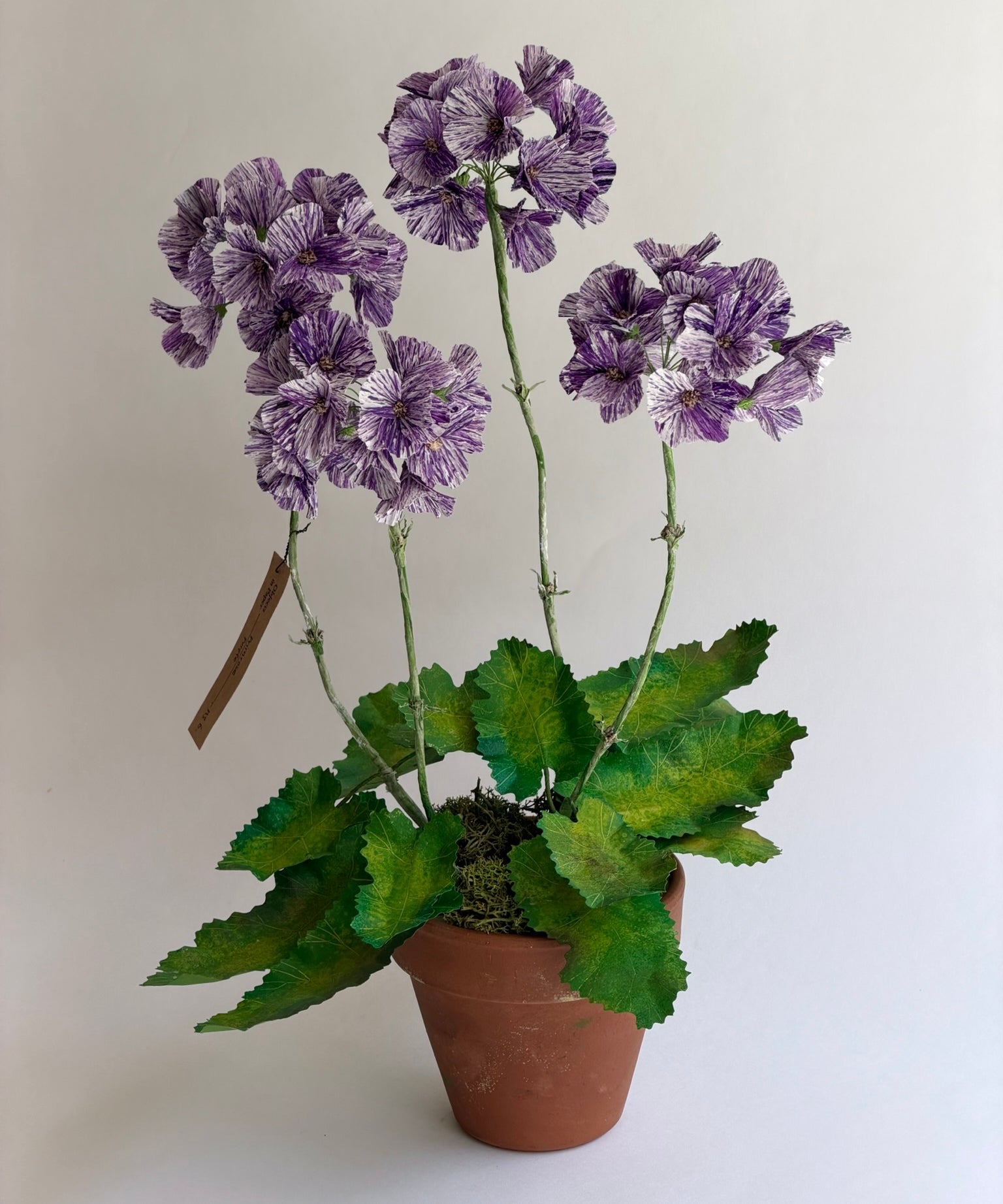 Paper flower 'Purple Primrose'