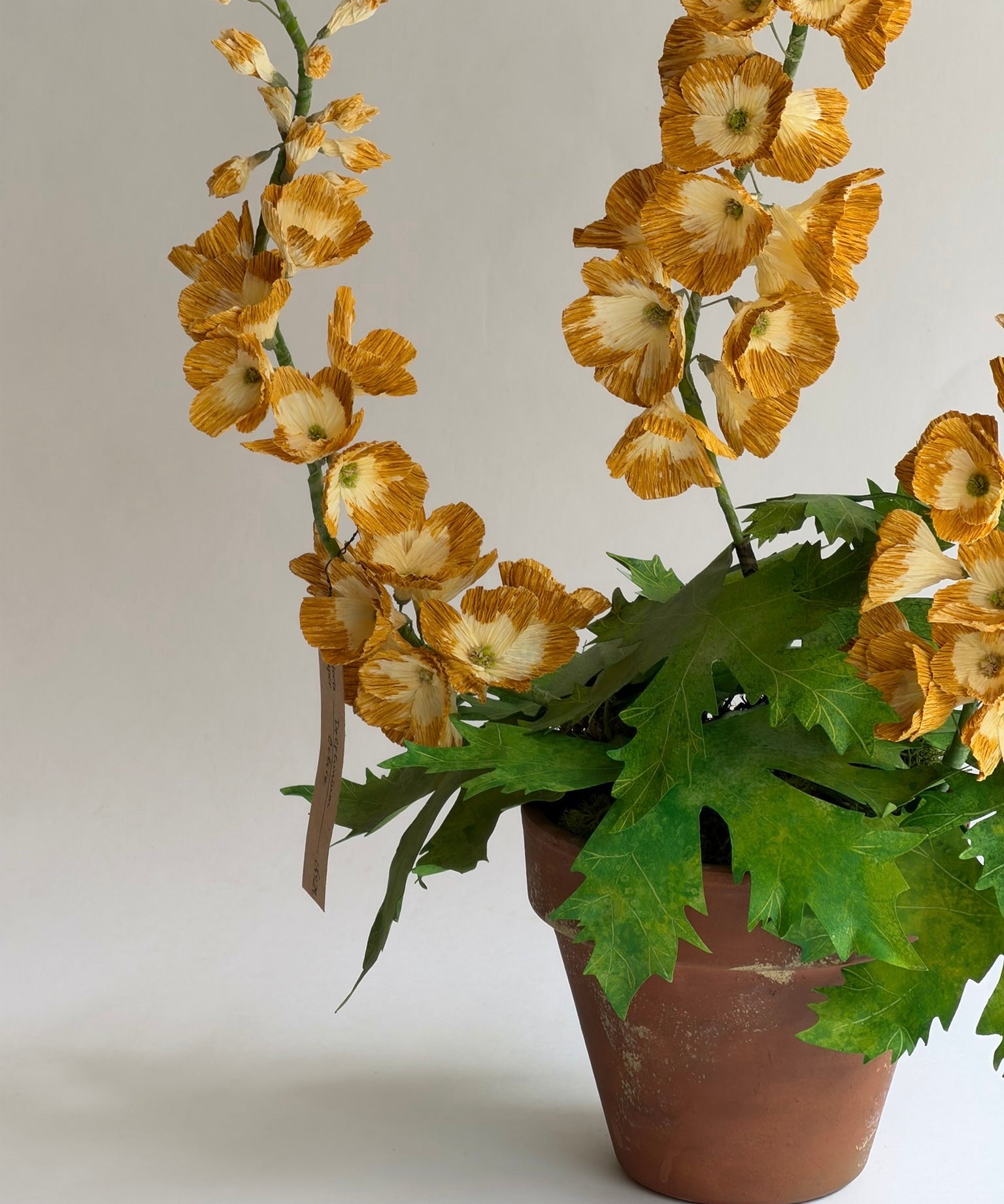 Paper flower 'Ochre Delphinium'