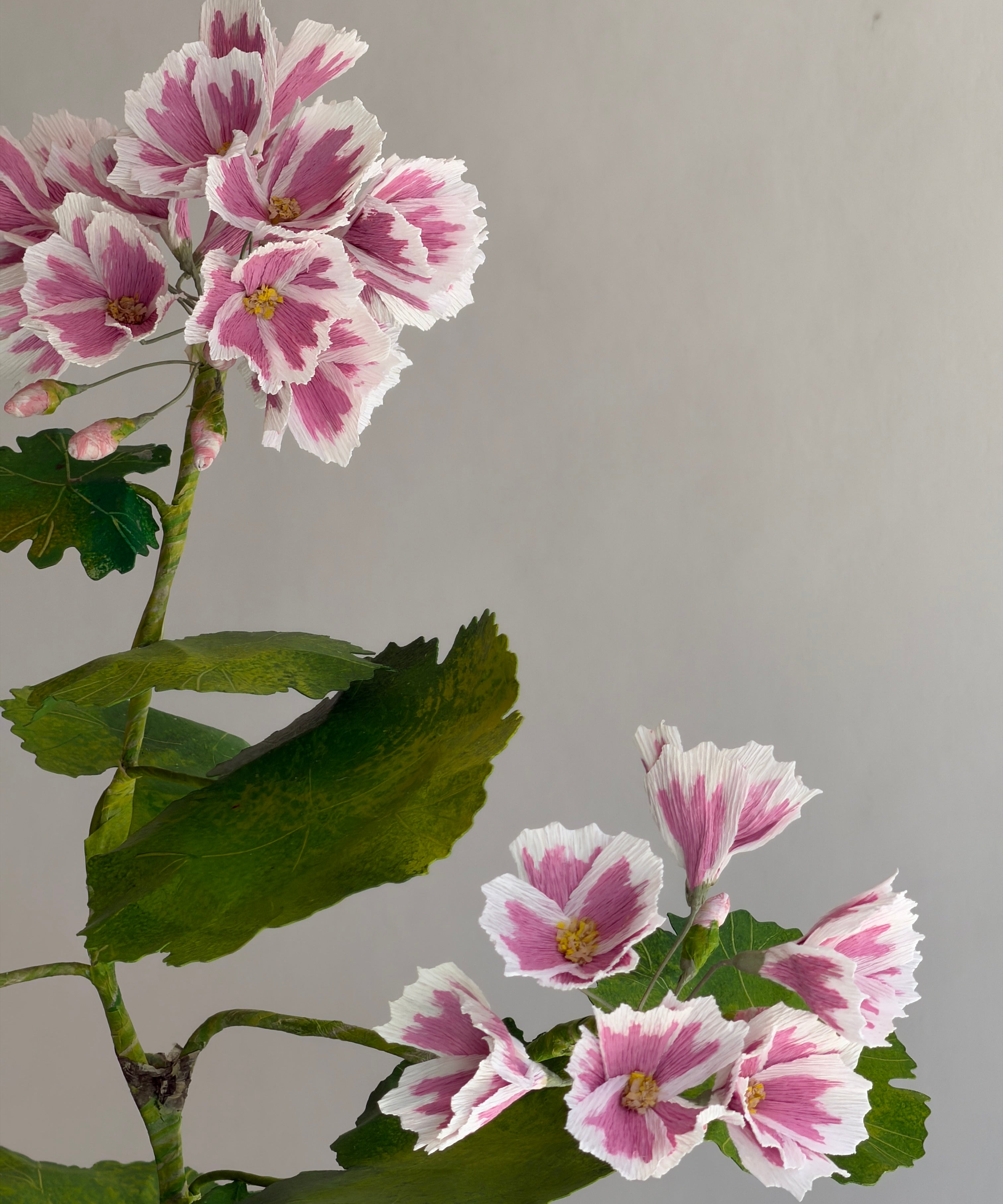 Paper flower 'Pink Pelargonium'
