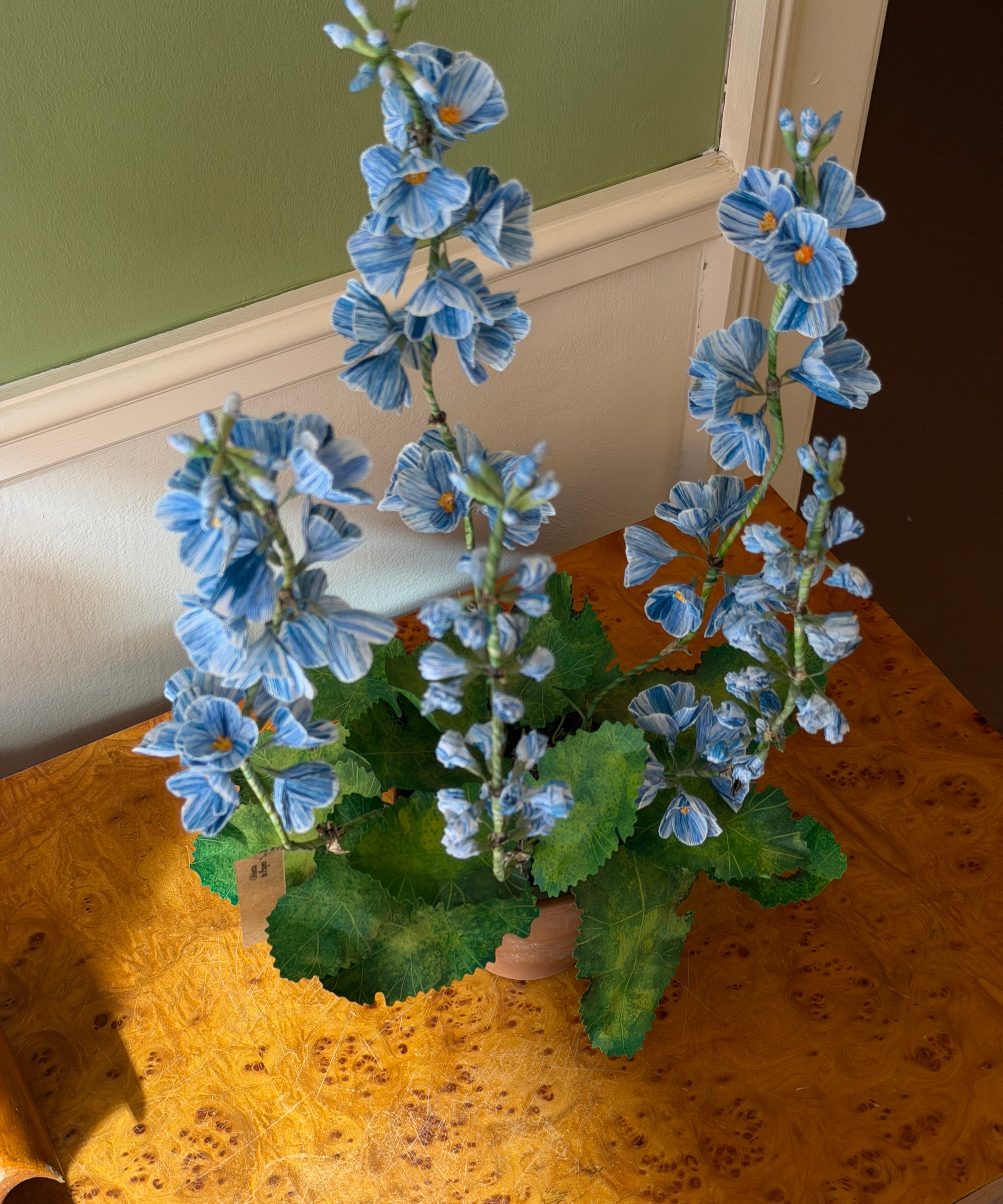 Paper flower 'Blue Primrose Japonica'