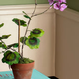 Paper flower 'Lilac Pelargonium Piccolo'