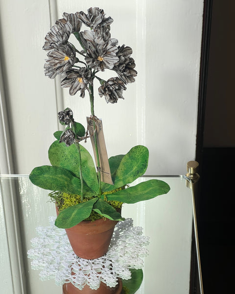 Paper flower ”White / Brown Primerose Aurora”