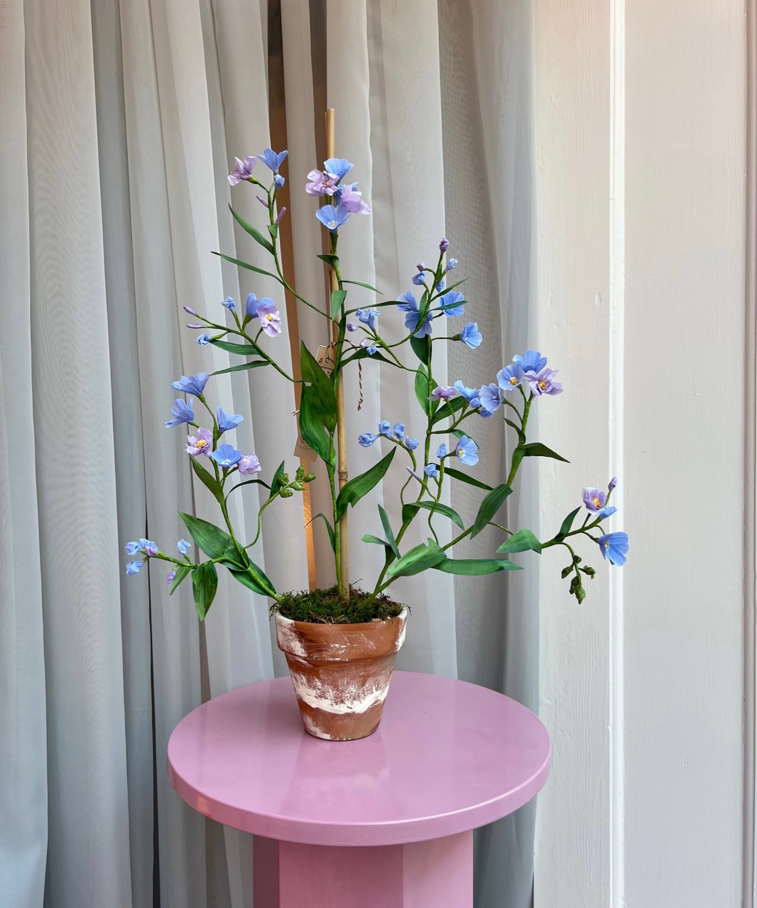 Paper flower ”Engforglemmigej”